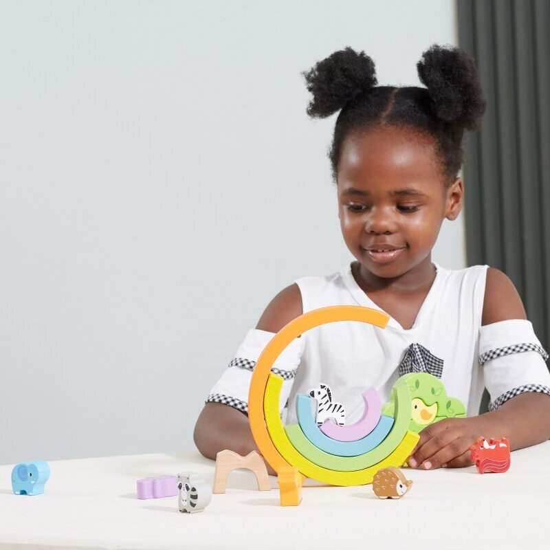 Puidust tasakaalu loovklotsid Viga Toys цена и информация | Arendavad laste mänguasjad | hansapost.ee