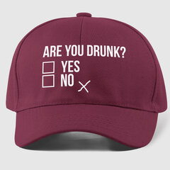 Müts Are you drunk? hind ja info | Huvitavad mütsid | hansapost.ee