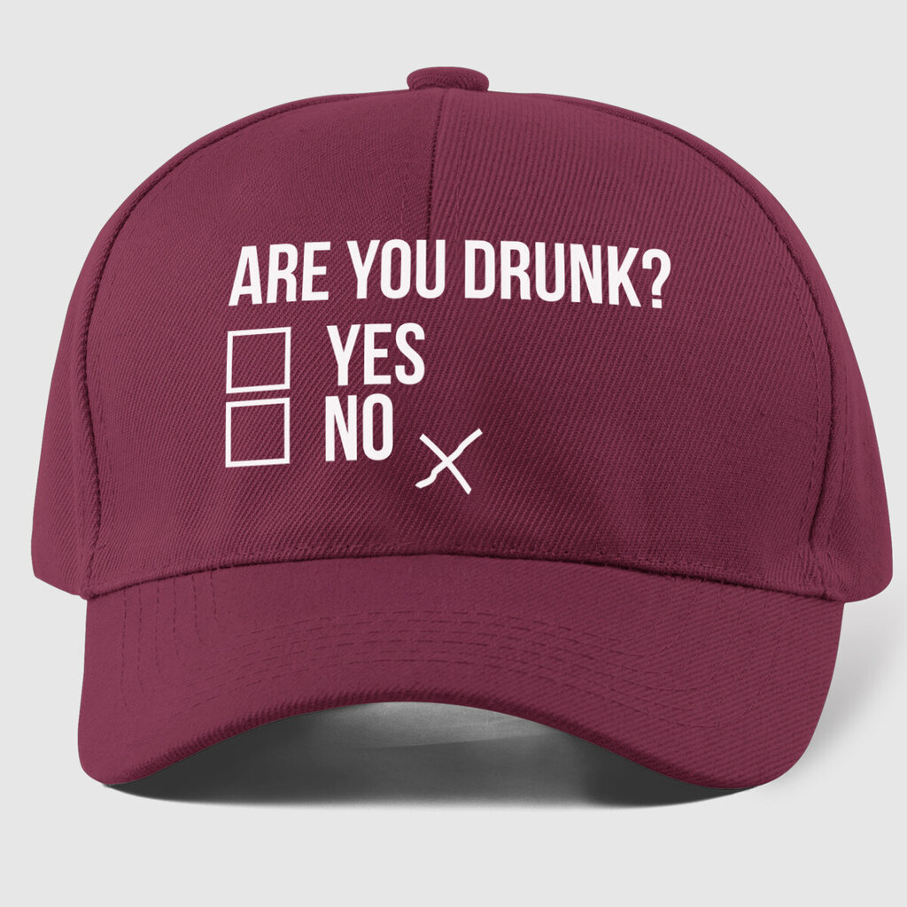 Müts Are you drunk? цена и информация | Huvitavad mütsid | hansapost.ee