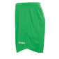 Meeste lühikesed püksid Joma Real 1035 HSTNK000007841, roheline hind ja info | Lühikesed püksid meestele | hansapost.ee