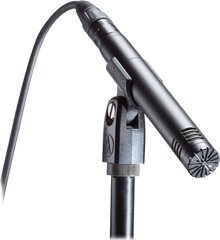 Конденсаторный микрофон Audio Technica AT2031. цена и информация | Микрофоны | hansapost.ee