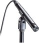 Kondensaator mikrofon Audio Technica AT2031 цена и информация | Mikrofonid | hansapost.ee