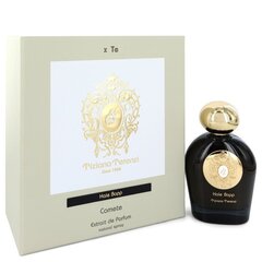 Parfümeeria universaalne naiste & meeste Tiziana Terenzi Hale Bopp (100 ml) hind ja info | Tiziana Terenzi Parfüümid | hansapost.ee