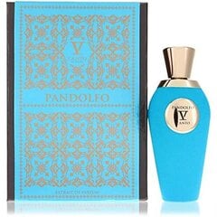 Universaalne parfümeeria naiste & meeste V Canto Pandolfo (100 ml) hind ja info | V Canto Parfüümid | hansapost.ee