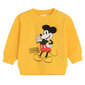 Cool Club pusa poistele Mickey Mouse LCB2700378 hind ja info | Kampsunid, vestid ja jakid poistele | hansapost.ee