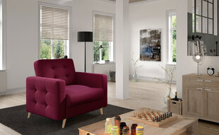 Кресло  Asgard 1F, фиолетовый цвет цена и информация | Кресла для отдыха | hansapost.ee
