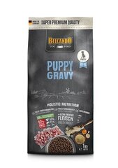 Belcando Puppy Gravy kuivtoit kutsikatele 1-4 kuu, linnuga, 1 kg hind ja info | Koerte kuivtoit ja krõbinad | hansapost.ee