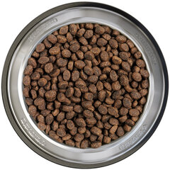 Belcando Puppy Gravy kuivtoit kutsikatele 1-4 kuu, linnuga, 4 kg hind ja info | Belcando Lemmikloomatarbed | hansapost.ee