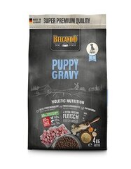 Сухой корм с птицей для щенков Belcando Puppy Gravy, от 1 до 4 месяцев, 4 кг цена и информация | Belcando Для собак | hansapost.ee