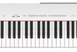 Digitaalne klaver Yamaha P-225 цена и информация | Klahvpillid | hansapost.ee
