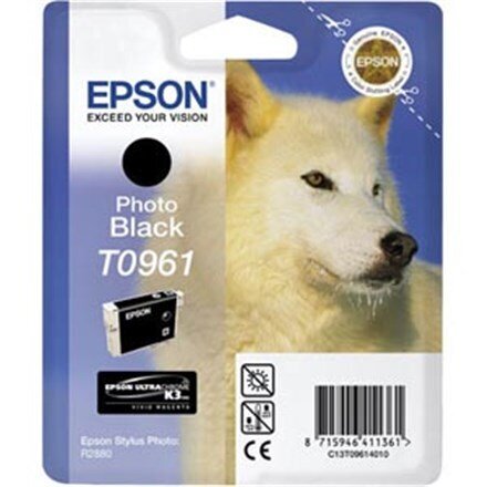 Epson T096 Photo Black Cartridge Epson hind ja info | Tindiprinteri kassetid | hansapost.ee