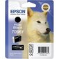 Epson T096 Photo Black Cartridge Epson hind ja info | Tindiprinteri kassetid | hansapost.ee