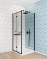 Deante dušikabiin Kerria Plus black mat 100x80,90,100 cm hind ja info | Dušikabiinid | hansapost.ee
