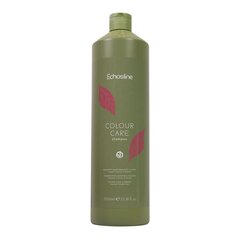 Šampoon värvitud juustele Echosline Colour Care Shampoo, 1000 ml цена и информация | Шампуни | hansapost.ee