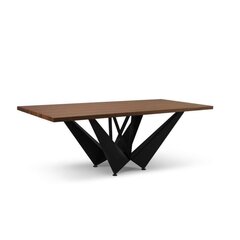 Обеденный стол Micadoni Home Lottie 260x100см, темно-коричневый/черный цвет цена и информация | Кухонные и обеденные столы | hansapost.ee