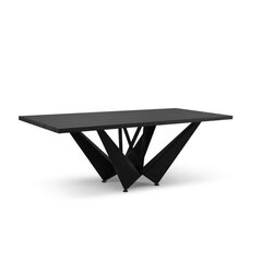 Обеденный стол Micadoni Home Lottie 220x100см, черный цвет цена и информация | Кухонные и обеденные столы | hansapost.ee