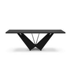 Обеденный стол Micadoni Home Lottie 220x100см, черный цвет цена и информация | Кухонные и обеденные столы | hansapost.ee