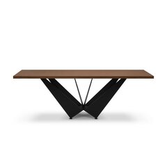 Обеденный стол Micadoni Home Lottie 220x100 см, темно-коричневый/черный цвет цена и информация | Кухонные и обеденные столы | hansapost.ee