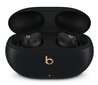 Beats Studio Buds + - True Wireless Noise Cancelling Earbuds - Black / Gold - MQLH3ZM/A цена и информация | Kõrvaklapid | hansapost.ee