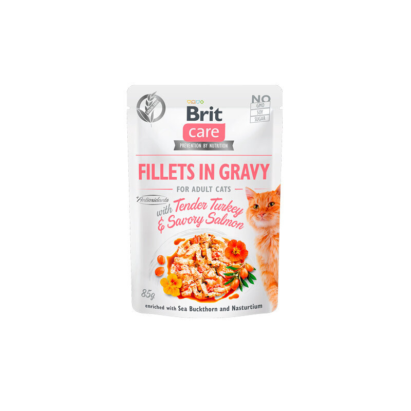 Brit Care Fillets in gravy koos kalkuni ja lõhega, 24 x 85 g цена и информация | Kassikonservid | hansapost.ee