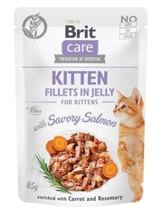 Brit Care Kitten Fillets koos lõhega, 24 x 85 g цена и информация | Кошачьи консервы | hansapost.ee