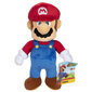 Pehme mänguasi Super Mario, 22 cm цена и информация | Mänguasjad poistele | hansapost.ee