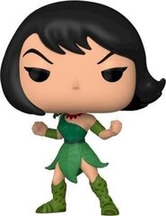 Kuju Funko Pop! Samurai Jack: Ashi hind ja info | Fännitooted mänguritele | hansapost.ee