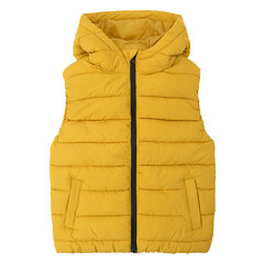 Cool Club vest poistele CCB2720925, kollane цена и информация | Свитеры, жилетки, пиджаки для мальчиков | hansapost.ee