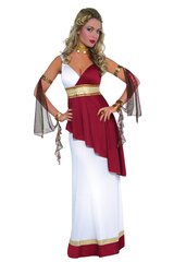 Roomlase kostüüm, 4-osaline hind ja info | Kostüümid ja maskid | hansapost.ee