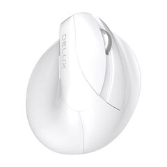 Wireless Vertical Mouse Delux M618Mini DB BT+2.4G 2400DPI (white) hind ja info | Delux Heli- ja videoseadmed, klaviatuurid ja hiired | hansapost.ee