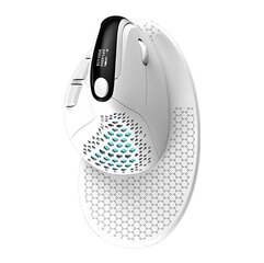 Wireless Ergonomic Mouse Delux M618XSD BT+2.4G RGB (white) hind ja info | Delux Arvutid ja IT- tehnika | hansapost.ee