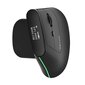 Wireless Ergonomic Mouse Delux MV6 DB BT+2.4G (black) цена и информация | Arvutihiired | hansapost.ee