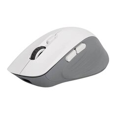 Wireless Gaming Mouse Delux M729DB BT+2.4G 16000DPI (white) цена и информация | Компьютерные мыши | hansapost.ee