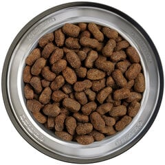 Belcando Adult GF veiseliha täiskasvanud koertele veiselihaga 12,5 kg price and information | Dry dog food and crisps | hansapost.ee