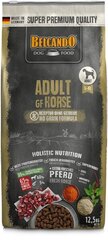 Belcando Adult GF Horse kuivtoit täiskasvanud koertele hobuselihaga 12,5 kg hind ja info | Belcando Lemmikloomatarbed | hansapost.ee