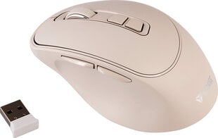 Yenkee Slider BG YMS 2080BG цена и информация | Компьютерные мыши | hansapost.ee