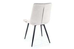 Söögitoolide komplekt Signal Ralph Velvet, 4 tooli, hall/must hind ja info | Köögitoolid, söögitoolid | hansapost.ee