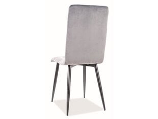 Набор из 4 обеденных стульев Signal Otto Velvet, зеленый/черный цвет цена и информация | Стулья для кухни и столовой | hansapost.ee