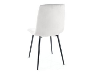 Набор из 4 обеденных стульев Signal Mila Velvet, серый/черный цвет цена и информация | Стулья для кухни и столовой | hansapost.ee