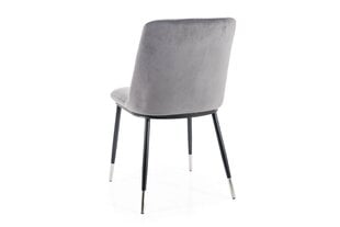 Набор из 4 обеденных стульев Signal Jill Velvet, черный цвет цена и информация | Стулья для кухни и столовой | hansapost.ee