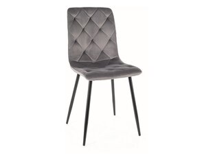 Набор из 4 обеденных стульев Signal Jerry Velvet, серый/черный цвет цена и информация | Стулья для кухни и столовой | hansapost.ee