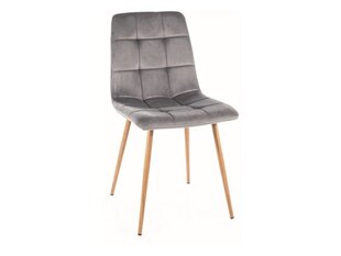 Набор из 4 обеденных стульев Signal Mila D Velvet, серый/коричневый цвет цена и информация | Стулья для кухни и столовой | hansapost.ee