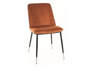 Набор из 4 обеденных стульев Signal Jill Velvet, оранжевый/черный цвет цена и информация | Стулья для кухни и столовой | hansapost.ee