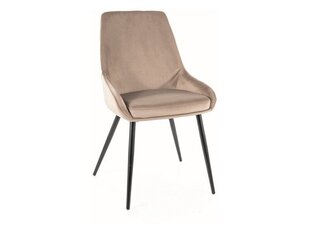 Набор из 4 обеденных стульев Signal Cobe Velvet, бежевый/черный цвет цена и информация | Стулья для кухни и столовой | hansapost.ee