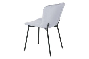 Набор из 4-х обеденных стульев Signal Colby Velvet, серый/черный цвет цена и информация | Стулья для кухни и столовой | hansapost.ee