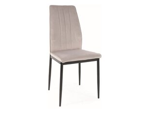 Набор из 4-х обеденных стульев Signal Atom Velvet, серый/черный цвет цена и информация | Стулья для кухни и столовой | hansapost.ee