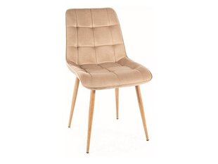 Набор из 4 обеденных стульев Signal Chic D Velvet, бежевый/коричневый цвет цена и информация | Стулья для кухни и столовой | hansapost.ee
