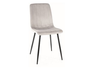 Набор из 4-х обеденных стульев Signal Alan Velvet, серый/черный цвет цена и информация | Стулья для кухни и столовой | hansapost.ee