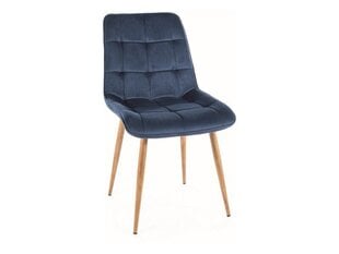 Söögitoolide komplekt Signal Chic D Velvet, 4 tooli, sinine/pruun hind ja info | Köögitoolid, söögitoolid | hansapost.ee