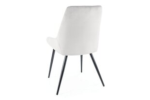 Комплект из 4-х обеденных стульев Signal Cobe Velvet, серый/черный цвет цена и информация | Стулья для кухни и столовой | hansapost.ee